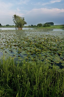 BUITEN BEELD Foto: 48947