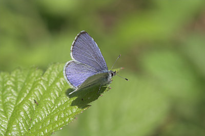 BUITEN BEELD Foto: 4001