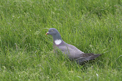 BUITEN BEELD Foto: 4005