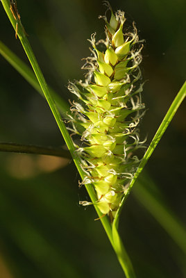 BUITEN BEELD Foto: 4038