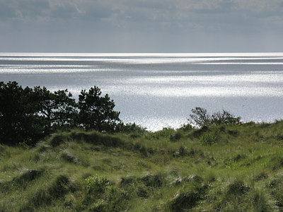 BUITEN BEELD Foto: 4056