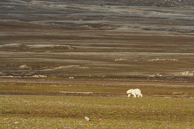 BUITEN BEELD Foto: 4071