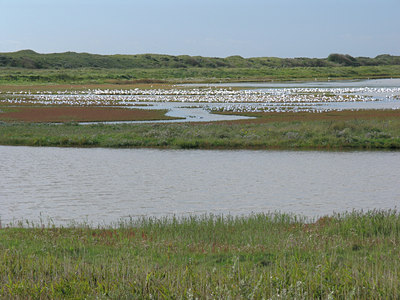 BUITEN BEELD Foto: 4088