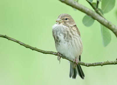 BUITEN BEELD Foto: 4185