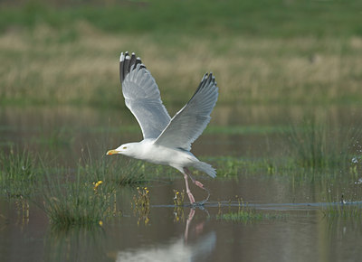 BUITEN BEELD Foto: 4229