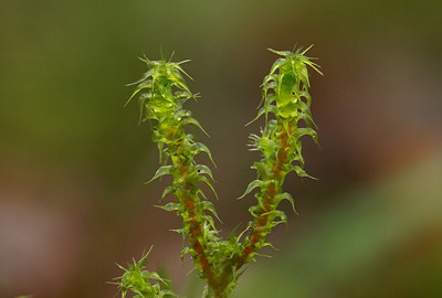 BUITEN BEELD Foto: 4238