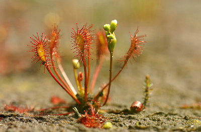 BUITEN BEELD Foto: 4335