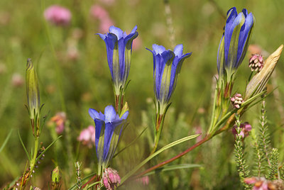 BUITEN BEELD Foto: 4339