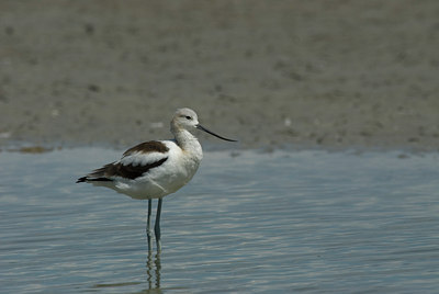 BUITEN BEELD Foto: 4340