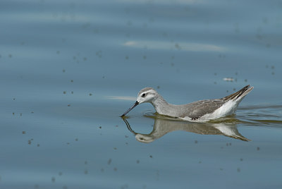 BUITEN BEELD Foto: 4358