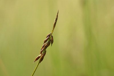 BUITEN BEELD Foto: 4361