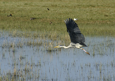 BUITEN BEELD Foto: 4375