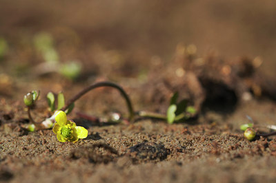 BUITEN BEELD Foto: 4419