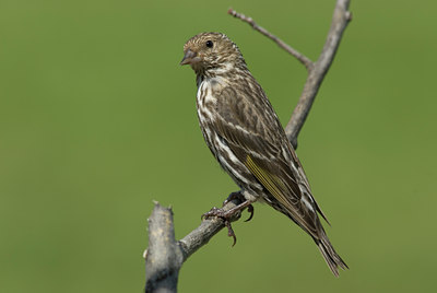 BUITEN BEELD Foto: 4592