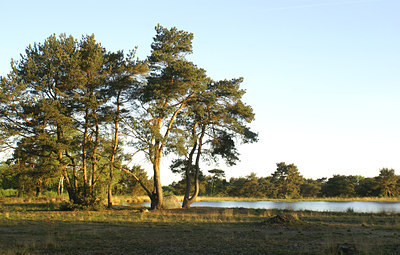BUITEN BEELD Foto: 4599