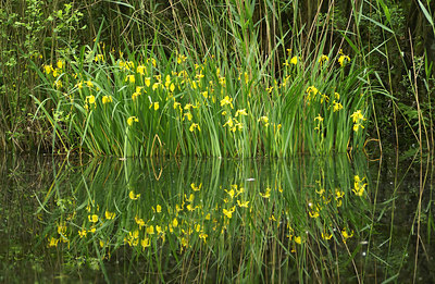 BUITEN BEELD Foto: 4602