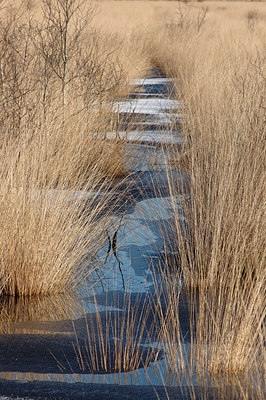 BUITEN BEELD Foto: 4671