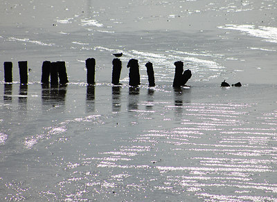 BUITEN BEELD Foto: 4674