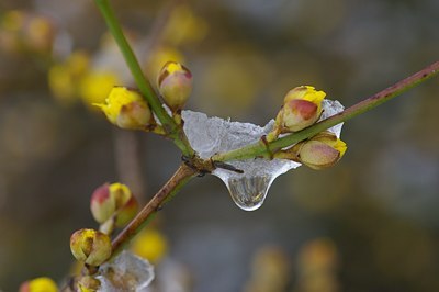 BUITEN BEELD Foto: 4736