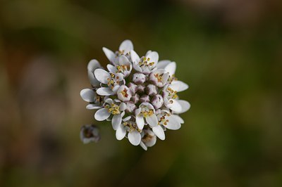 BUITEN BEELD Foto: 4779