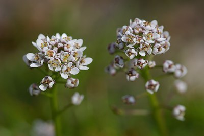 BUITEN BEELD Foto: 4780