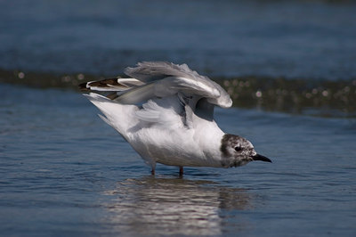 BUITEN BEELD Foto: 4891