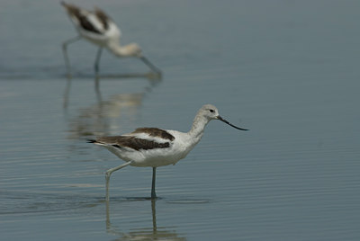 BUITEN BEELD Foto: 4951