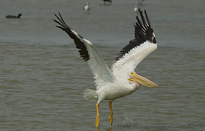 BUITEN BEELD Foto: 4952