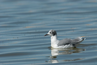 BUITEN BEELD Foto: 4961