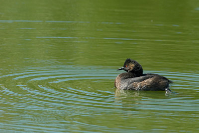 BUITEN BEELD Foto: 4968