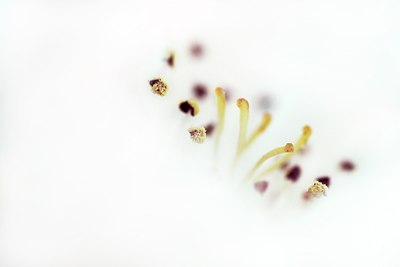 BUITEN BEELD Foto: 49095