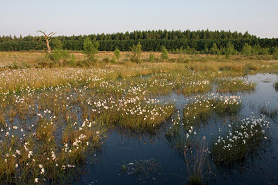 BUITEN BEELD Foto: 49098