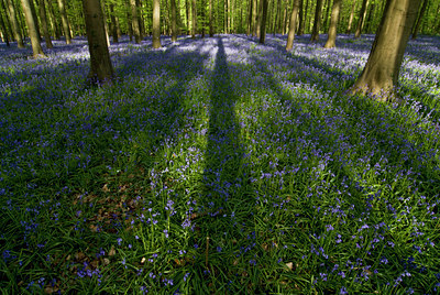 BUITEN BEELD Foto: 49130