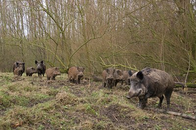 BUITEN BEELD Foto: 49164
