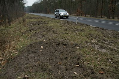 BUITEN BEELD Foto: 49165