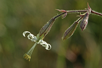 BUITEN BEELD Foto: 49177