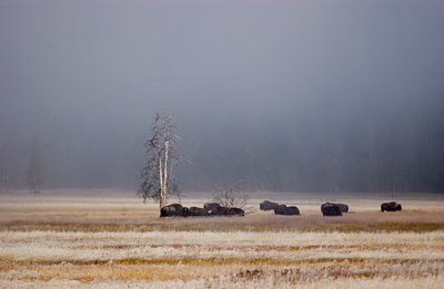 BUITEN BEELD Foto: 49195