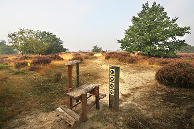 BUITEN BEELD Foto: 49310