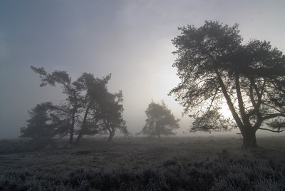 BUITEN BEELD Foto: 49311