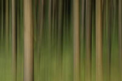 BUITEN BEELD Foto: 49323