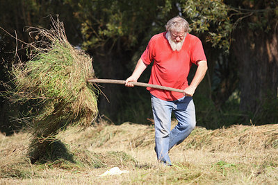 BUITEN BEELD Foto: 49387