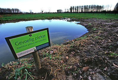 BUITEN BEELD Foto: 49389
