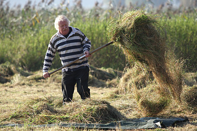 BUITEN BEELD Foto: 49391