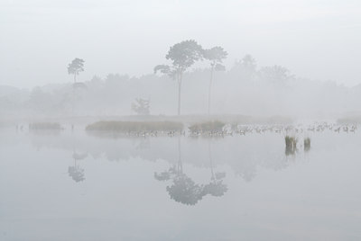 BUITEN BEELD Foto: 49409