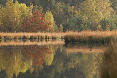 BUITEN BEELD Foto: 49427