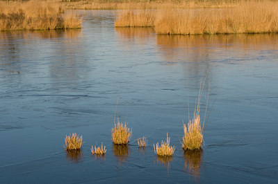 BUITEN BEELD Foto: 49430