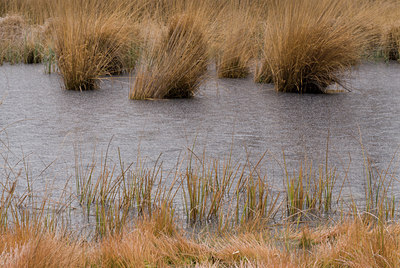 BUITEN BEELD Foto: 49435