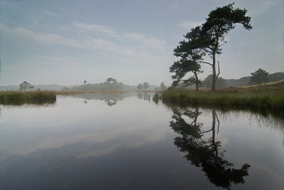 BUITEN BEELD Foto: 49438