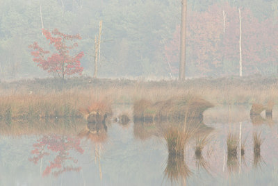 BUITEN BEELD Foto: 49457