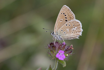 BUITEN BEELD Foto: 49487